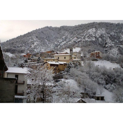 Frerola innevata
