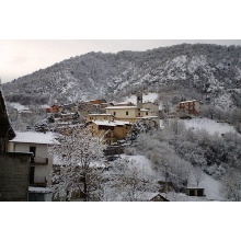 Frerola innevata